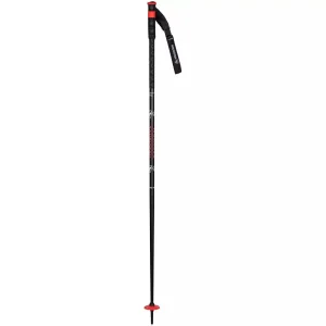 Poker Pro Ski Poles