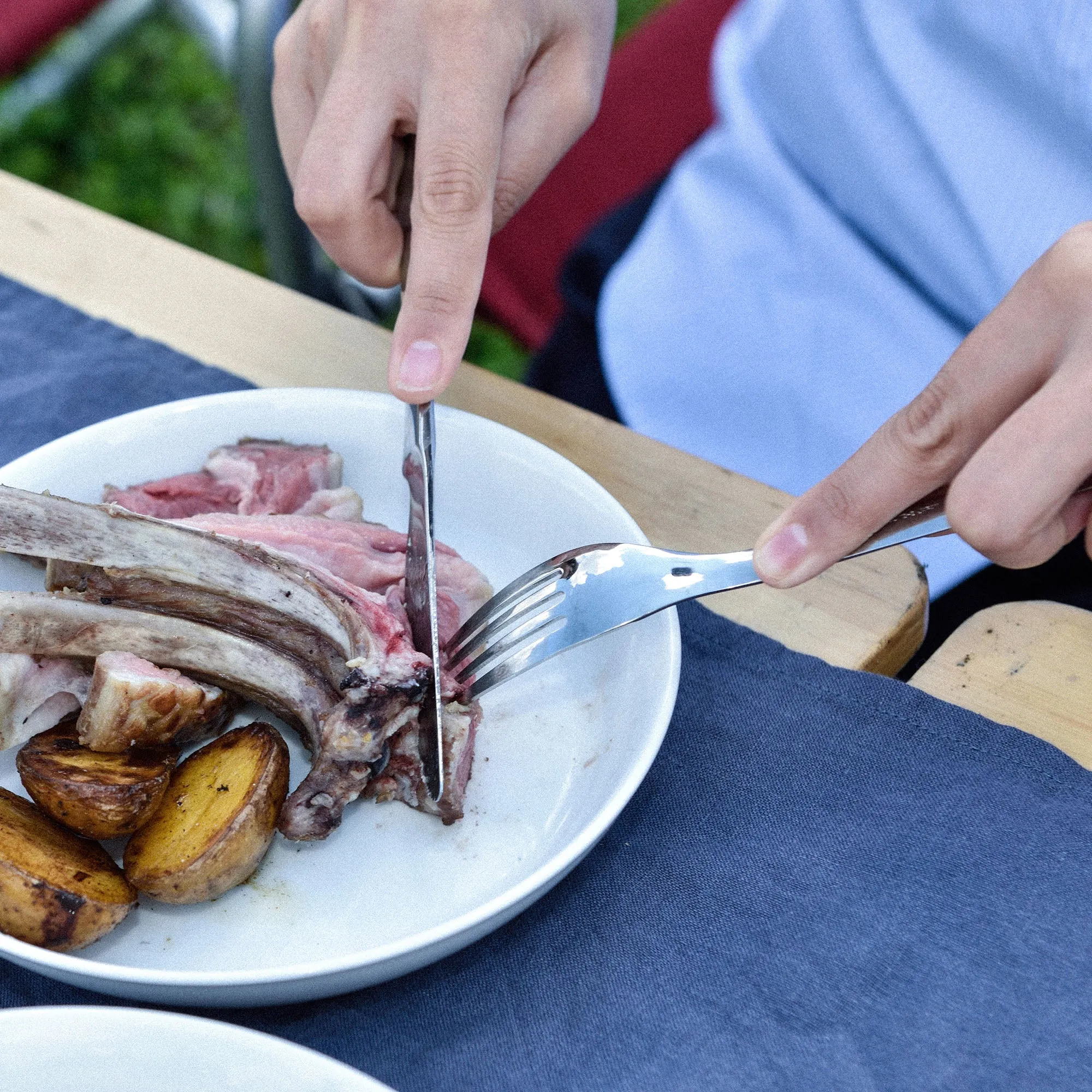 Stainless Dinner Knife